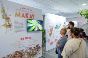 exposition makay